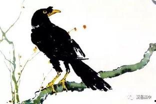 误把乌鸦当凤凰,一场荒诞的视觉错觉之旅