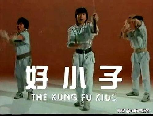 好小子，好功夫,少年英雄的成长传奇