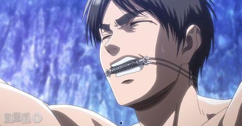 小艾伦,揭秘科技新星的成长之路