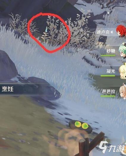 狐玉迷踪,探寻神秘狐玉的传奇故事